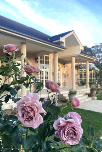 Mansfield-Manor-Burrill-Lake-Roses.jpeg