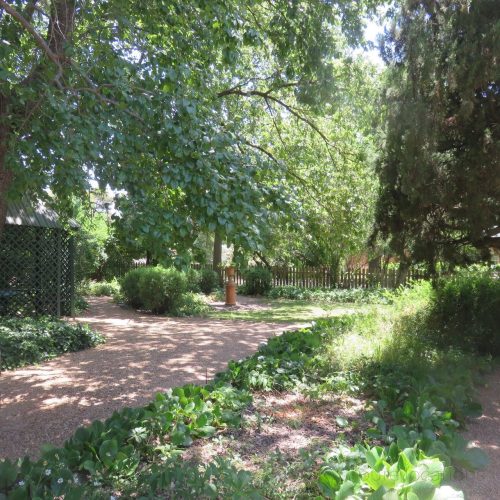 Marillas-Cottage-Bathurst_3.jpeg