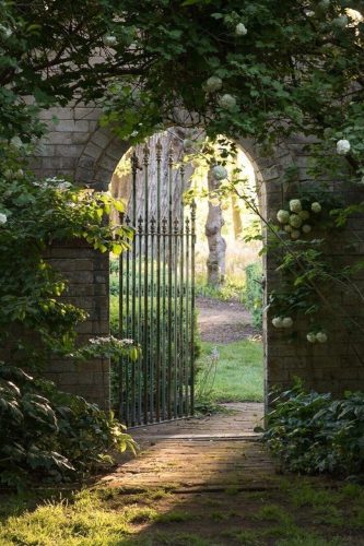 Marmalade-Braidwood1.jpg