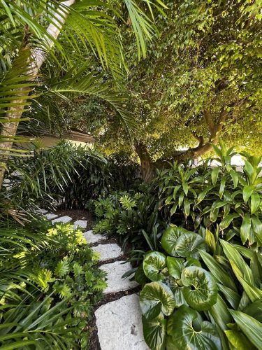 backyard garden established