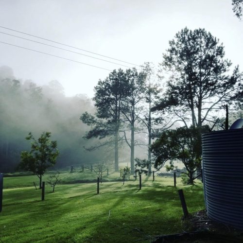 Misty-Farm-Waukivory-24.19-am.jpeg