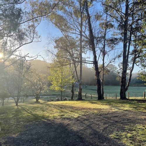 Misty-Farm-Waukivory-26.29-am.jpeg