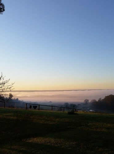 Misty-June-Morning-757x1024-1.jpg