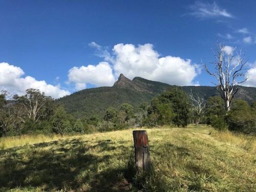 Mountain-View-Farm-Pumpenbil-3.jpeg