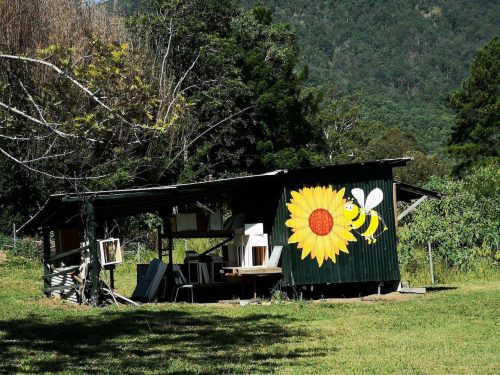 Mountain-View-Farm-Pumpenbil-7.jpeg