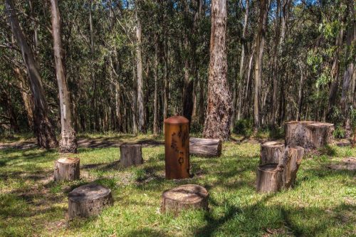 Natural-Habitat-Pennyroyal_16.jpeg