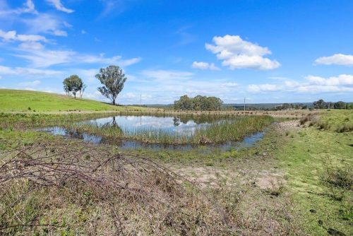 Nepean-Estate-Mulgoa_11.jpeg