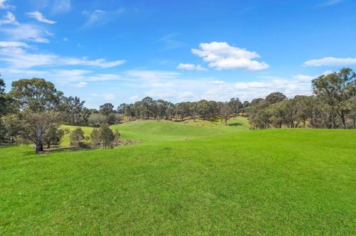 Nepean-Estate-Mulgoa_13.jpeg