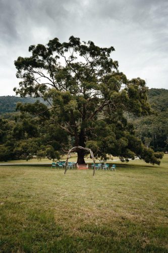 Notebook-Numinbah-Valley-14.jpeg