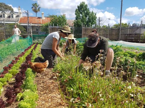 garden established