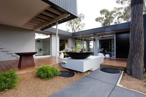 backyard