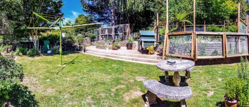 backyard