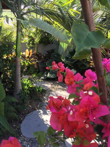 garden established
