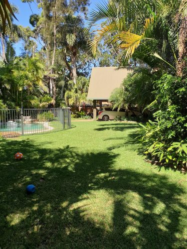 backyard garden established