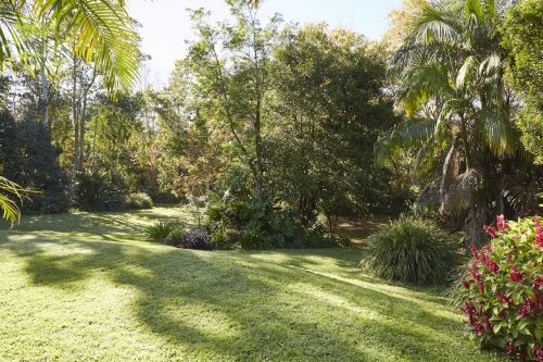 backyard garden established