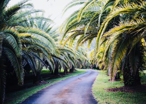 driveway