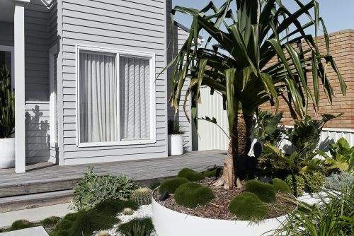 Palm-Breeze-Cronulla_86.jpg