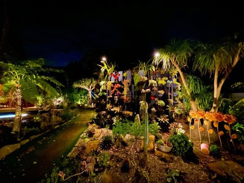 Paradoes-Galston_5588.jpeg