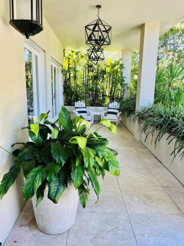 Poseidon-Bellevue-Hill3.jpg