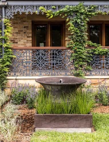 Pot-at-front-entrance-782x1024-1.jpeg