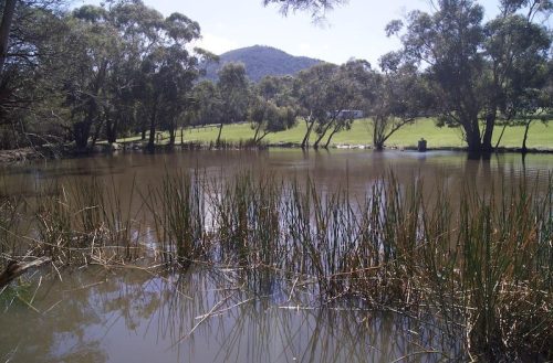 Powerhouse-Mount-Macedon-at-12.10.44.jpeg