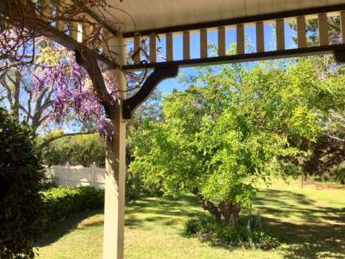 backyard