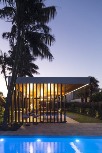 Desert Palm, Bondi