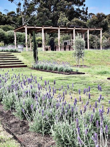 garden established