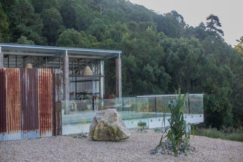 Rainforest-House-Byron-Bay-001-1.jpeg