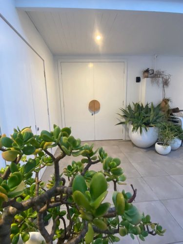 Reef-View-Collaroy-8.jpeg