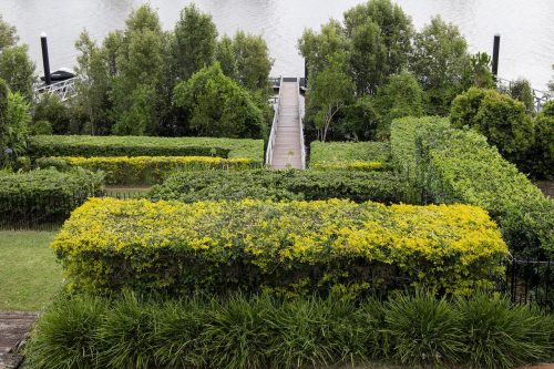 garden established