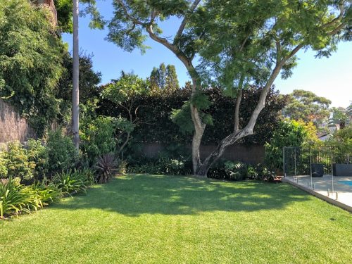 Rocco, Bellevue Hill_16