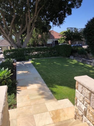 Rocco, Bellevue Hill_3