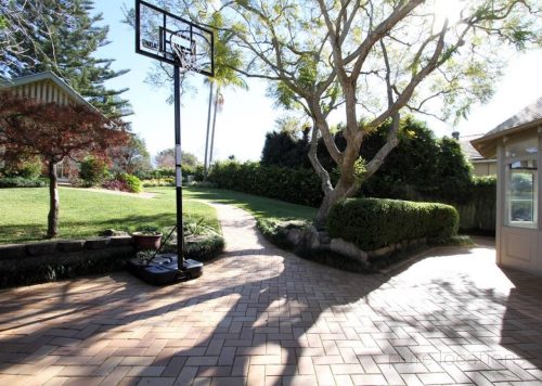backyard