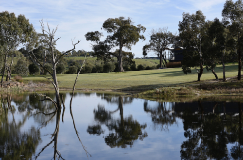 Olea Estate, Lauriston
