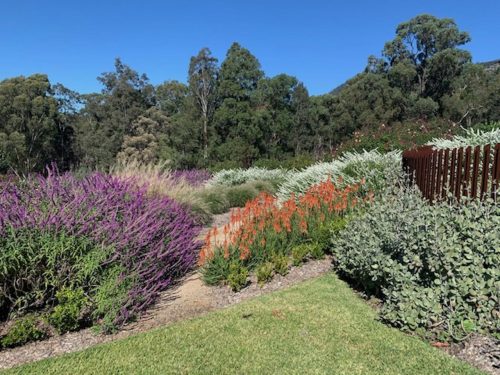 Sculpture-Estate-Pokolbin-Garden-in-flower.jpeg