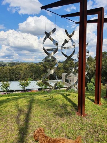 Sculpture-Estate-Pokolbin-Sculpture-top-of-propery.jpeg