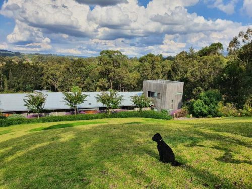 Sculpture-Estate-Pokolbin-Top-view-of-property-1.jpeg