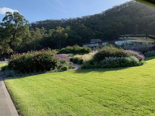 garden established