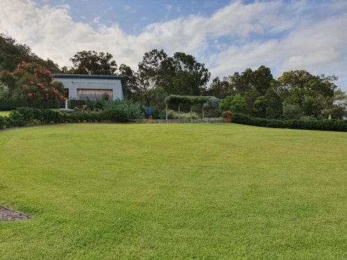 Sculpture-Estate-Pokolbin-lawn-view-back-to-studio.jpeg