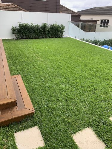 garden established
