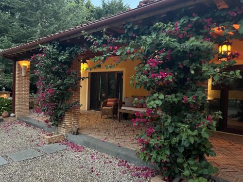 Sicilian-Farm-House-East-Warburton_l.jpeg