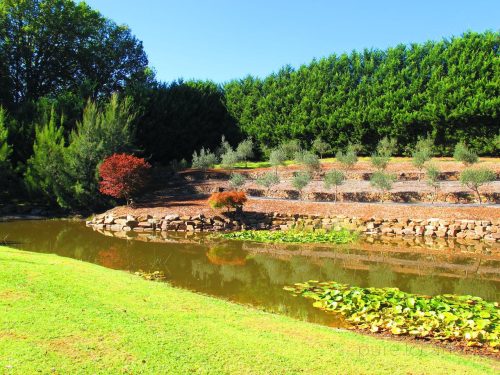 garden established