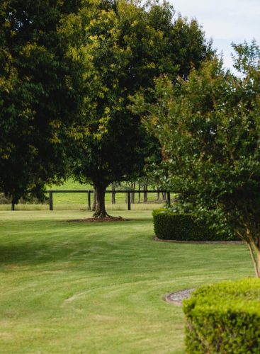 Somersby-Homestead-Somersby-06.jpeg