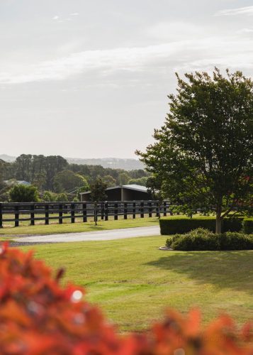 Somersby-Homestead-Somersby-11.jpeg