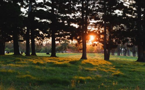 Somersby-Homestead-Somersby-18.jpeg
