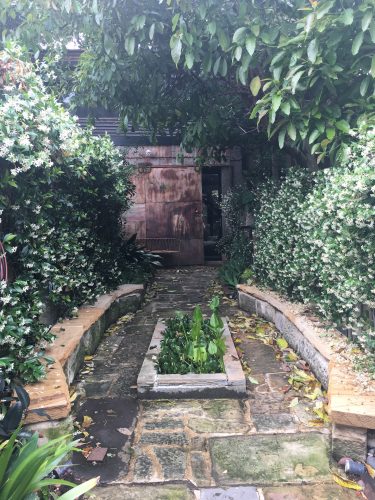 outdoor area backyard