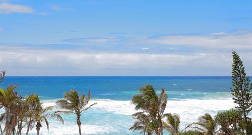 Star-View-Sunshine-Beach-32.jpg
