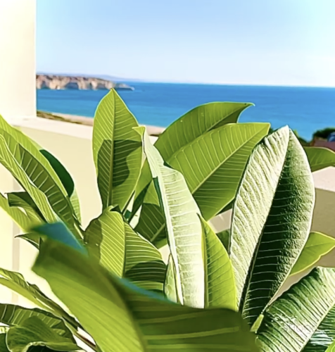 Style-Mode-Maslin-Beach-10.png