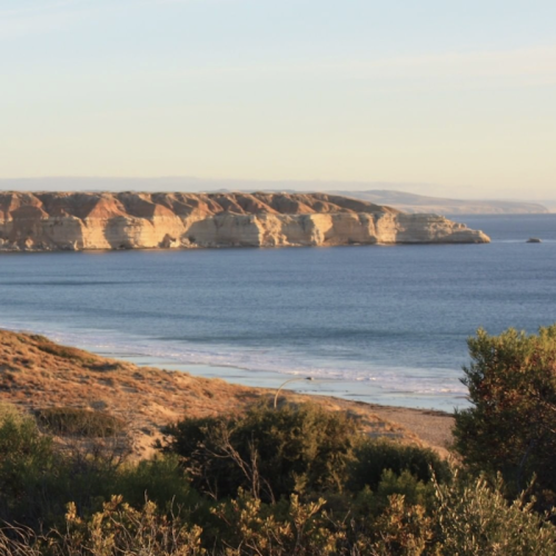 Style-Mode-Maslin-Beach-6.png